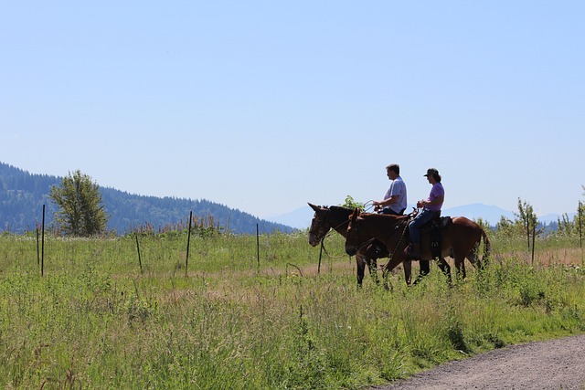 Free Horseback Riding photo and picture