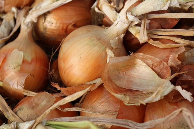 Free Onions Brown photo and picture