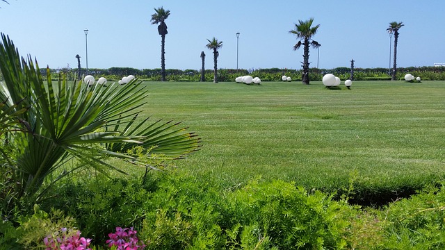 Free Morocco Green photo and picture