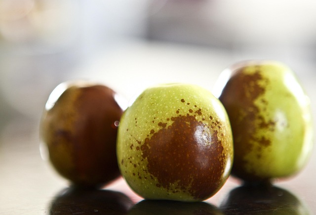 Free Red Dates Food photo and picture