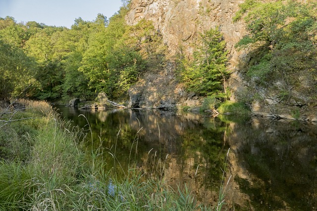 Free Bach Water photo and picture