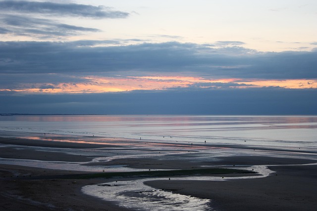 Sommerlandskab, Natur, Normandiet Strand