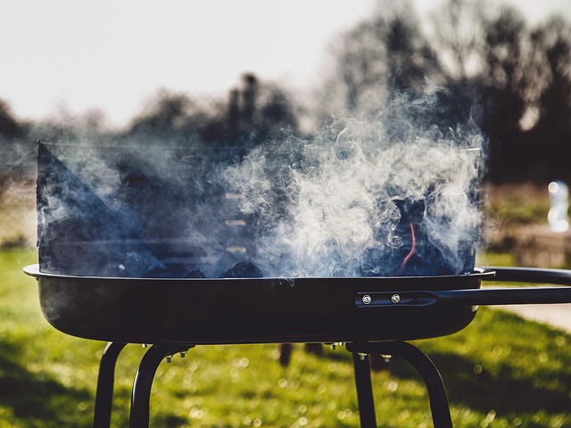 grill, smoke, nature, barbecue, bbq, barbeque, cooking, summer, grilling, cookout