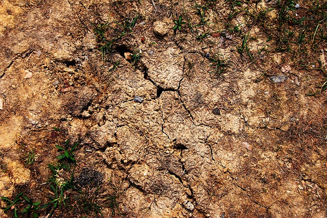 cracked, earth, ground, brown, parched, cracks, c, arid, surface, nature, texture, drought, dry, land, desert, brown earth, brown desert
