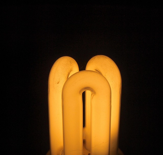 Free Bulb Light photo and picture