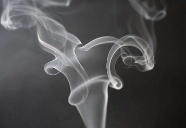 Free Smoke Cigarette photo and picture