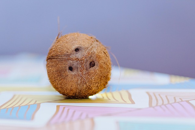 Free Coconut Tropical photo and picture