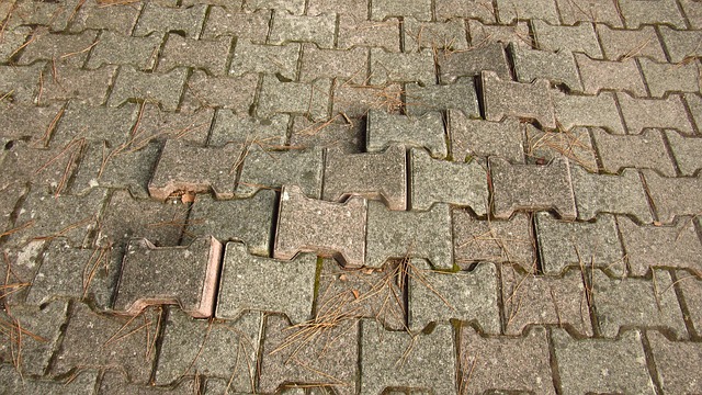 Free Pavement Concrete Brick photo and picture