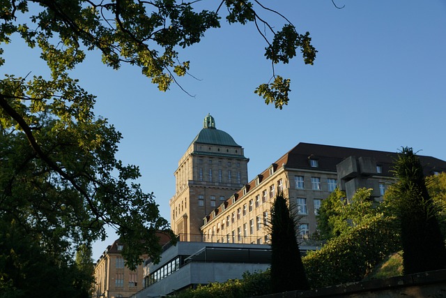 Free University Zurich photo and picture