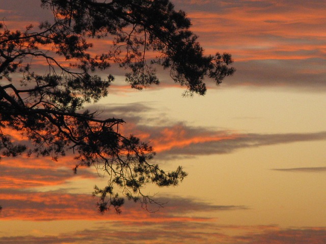 Herbst, Sonnenuntergang, Natur, Wolken