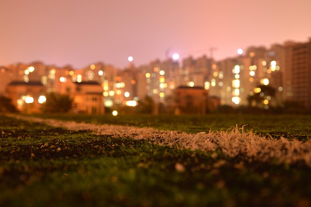 Free Night View The Scenery photo and picture
