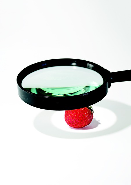 Aardbei, Vergrootglas, Onderzoek