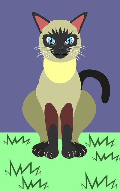 Free cat pet vector illustration