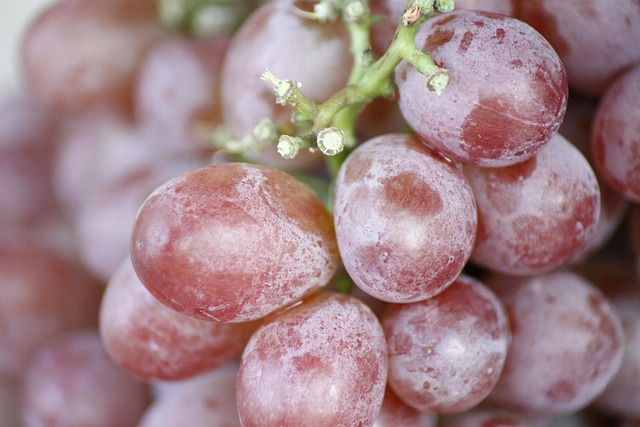 Uva, Fruta, Macro, Fechar-Se, Vitaminas