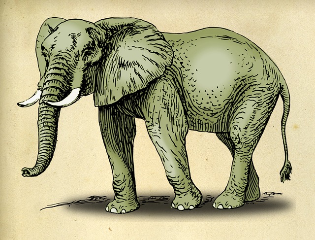 Elefant, Zeichnung, Pergament, Papier