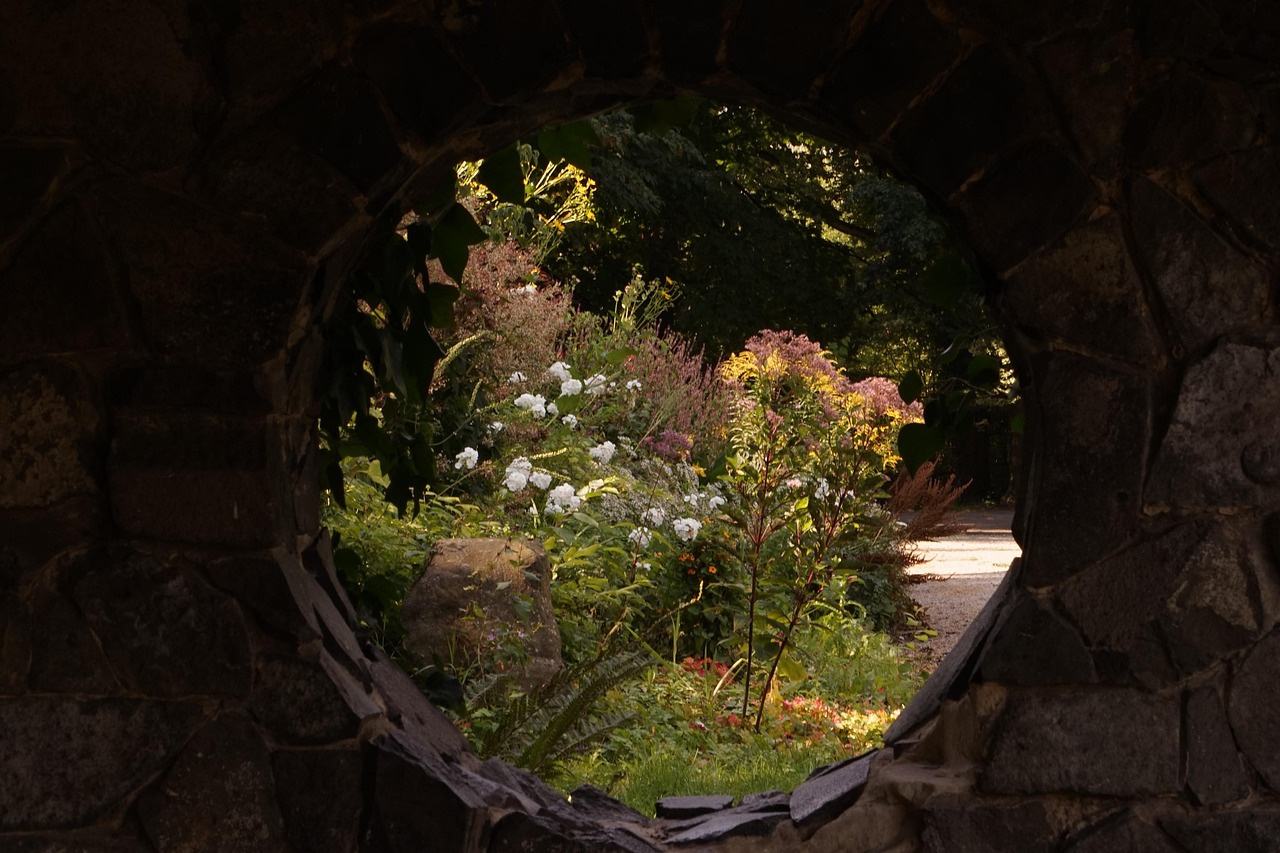 Insight - free online jigsaw puzzle photo