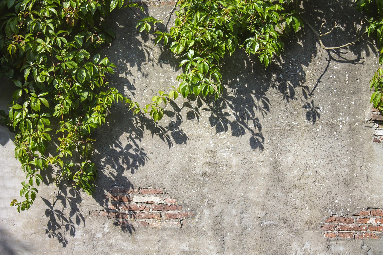 Stone - free online jigsaw puzzle photo