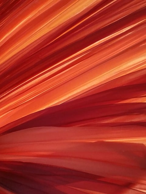 Free orange veil fabric illustration