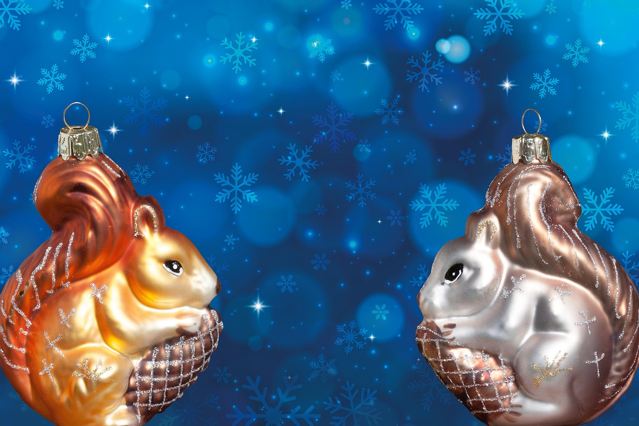 Download free HD stock image of Christmas Squirrel Free Christmas Squirrel photo and picture