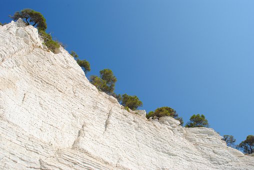 Free White Rocks Rock Plants photo and picture