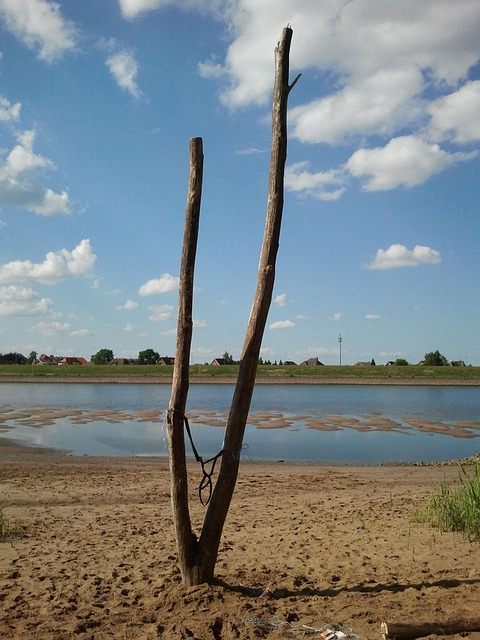 Free Elbe Water photo and picture