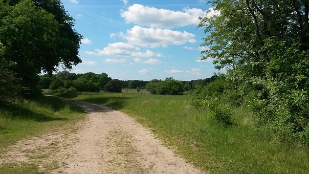 Free Summer Germany photo and picture