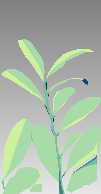 Free vector leaves cocaine leaves nature vector