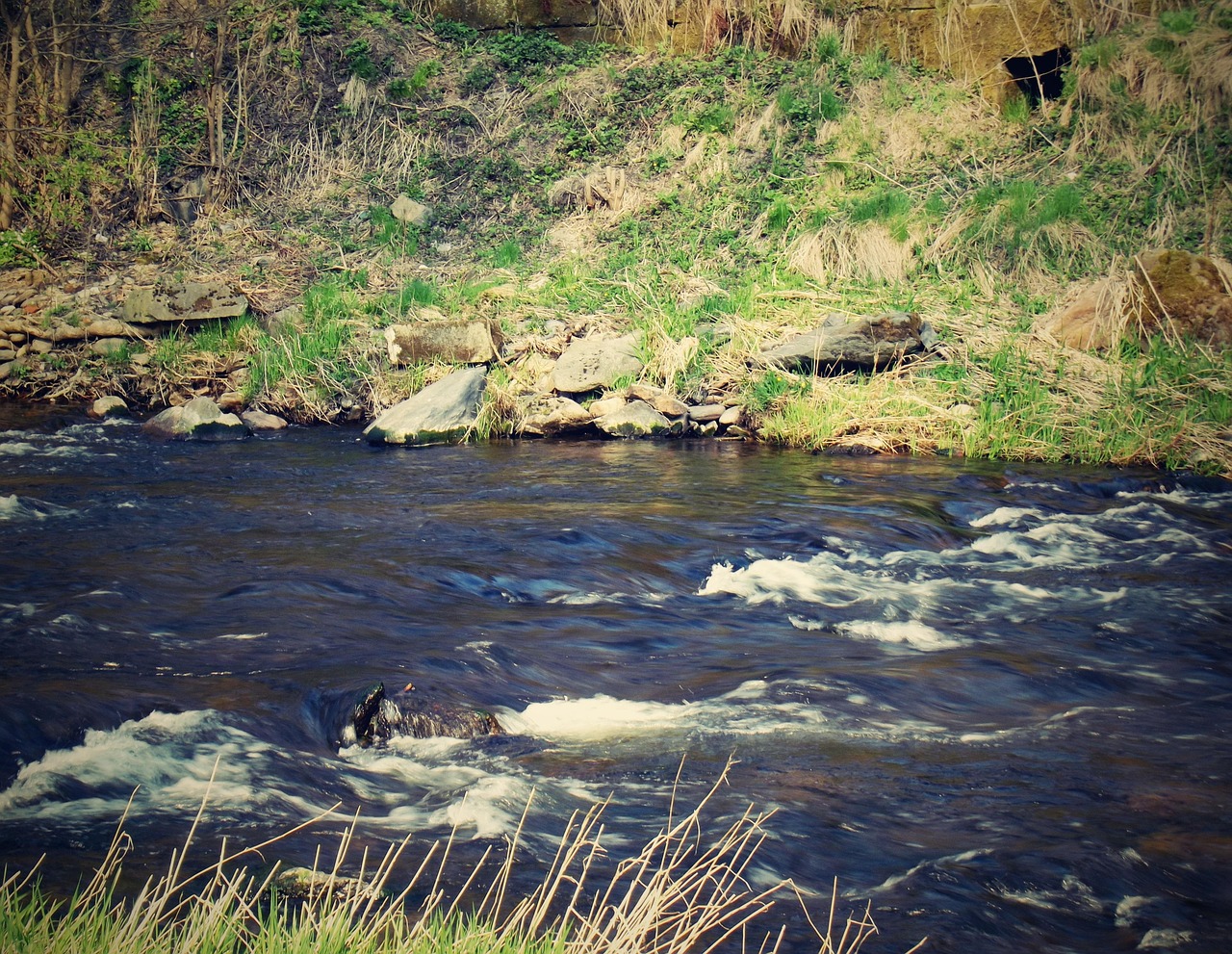 Río Agua Naturaleza - Foto gratis en Pixabay - Pixabay