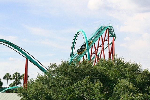 Free Roller Coaster Coaster photo and picture