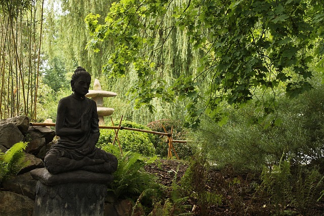Free Japan Zen photo and picture