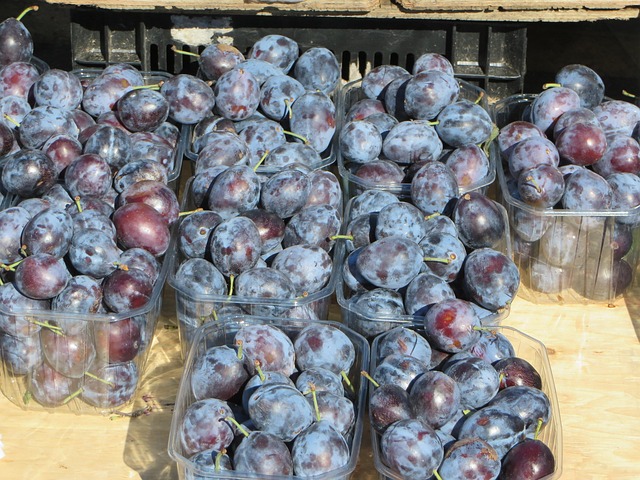 Free Plums Market Stall photo and picture