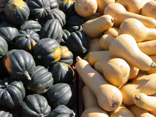 Free Pumpkin Market photo and picture