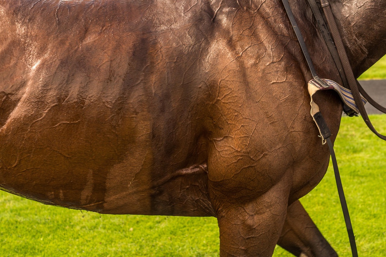 Horse - free online jigsaw puzzle photo
