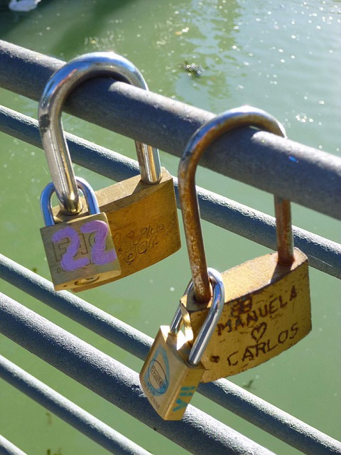 Free Padlock Padlocks photo and picture