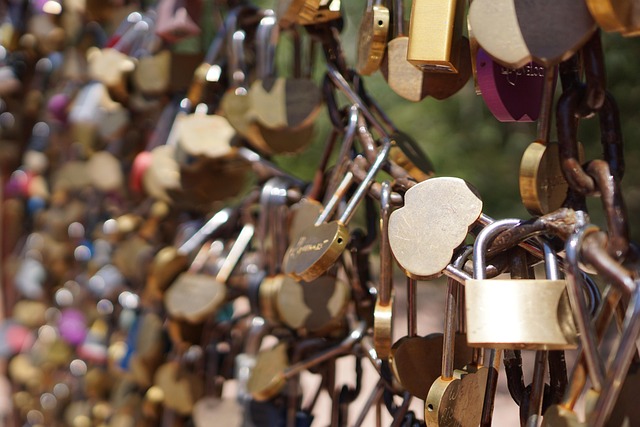 Free Close To Padlock photo and picture