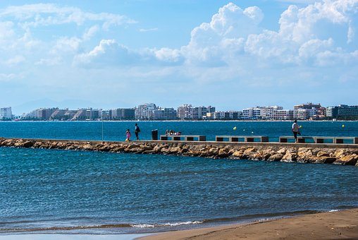Free Roses Girona photo and picture