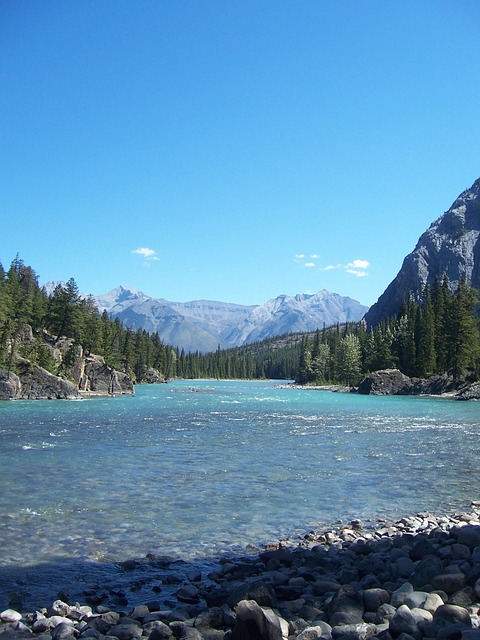 Free River Rocks photo and picture