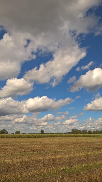 Free Clouds Heaven photo and picture