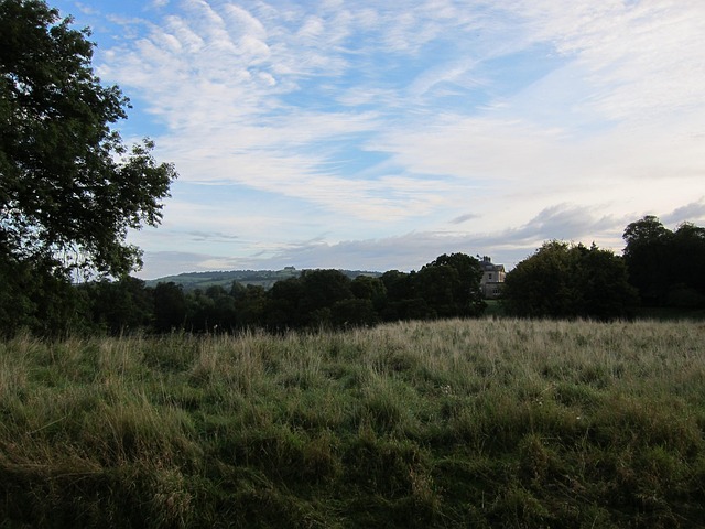 Free Newton Park Uk photo and picture