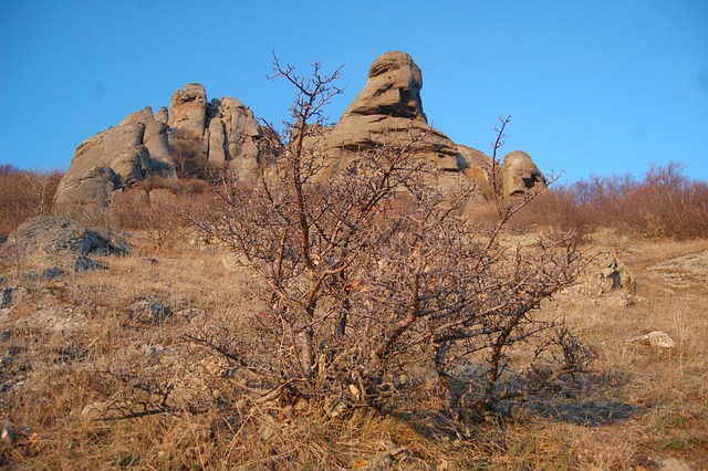 Free Mountain Crimea photo and picture