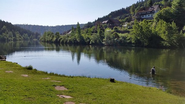 Bosque, Lago, Naturaleza, Paisaje, Agua