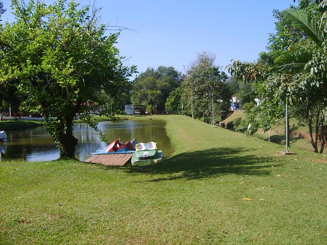 Free Silver Waters City photo and picture