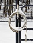 lariat rope, snow covered, round pen
