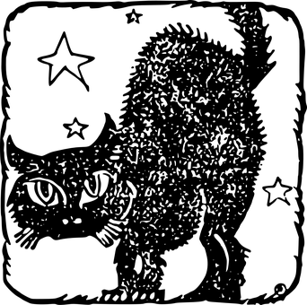 貓, 黑, 星星, 萬圣節(jié), 貓的, 小貓, 寵物, 動物, 黑貓, 可愛