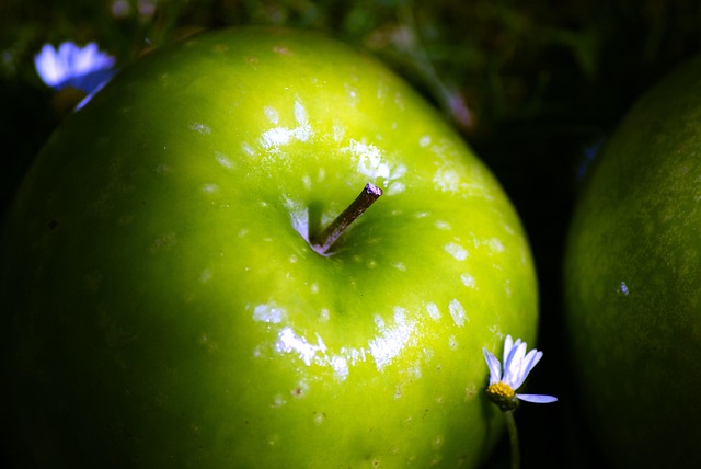 Manzana, Naturaleza, Brillar, Margarita