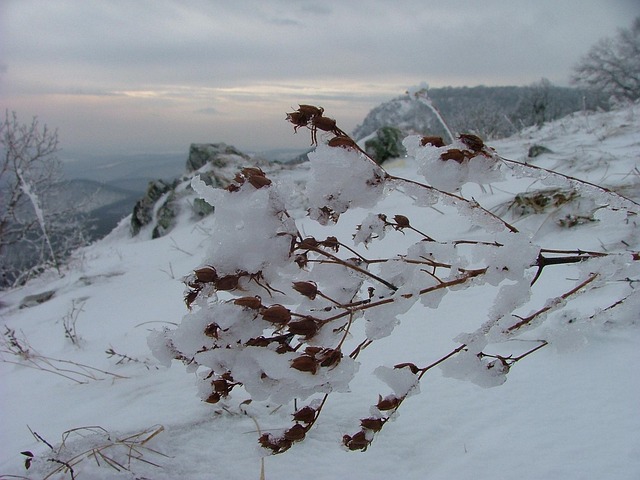 Eis, Eiswelt, Winter, Buchengebirge