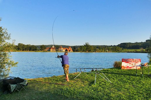 Pescaria, Pescador, Lago, Peixe, Agua