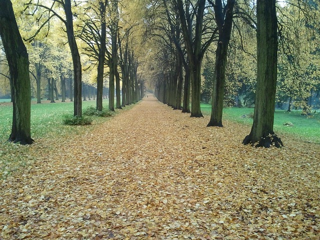 Free Fall Potsdam photo and picture