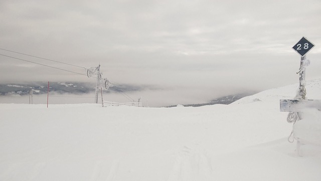 Free Ski Winter photo and picture