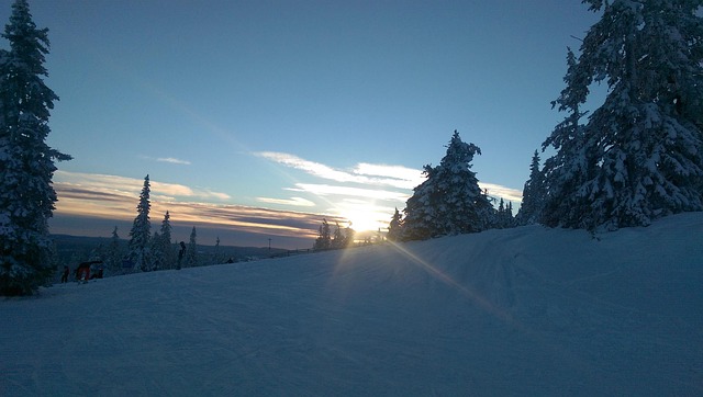Free Winter Sunset photo and picture